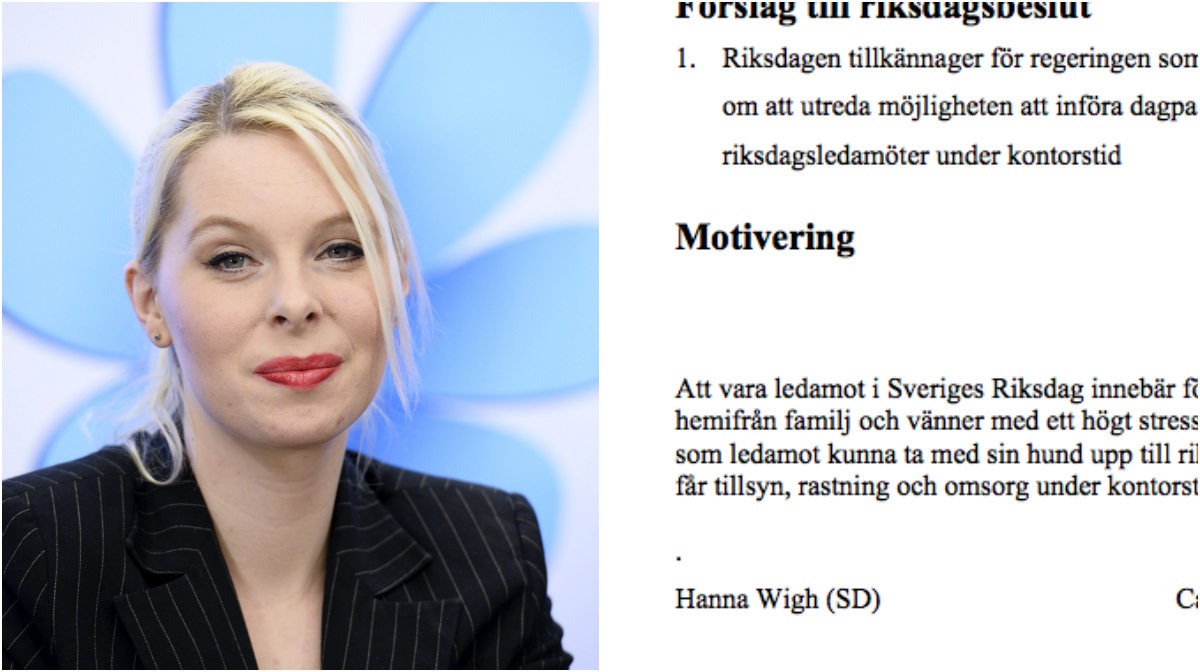 Hanna Wigh, Sverigedemokraterna, Politik, Riksdagen, inrikes